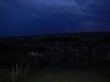 Filename=DSCN0287.jpg
Filesize=135KB
Dimensions=1280x960
Date added=Jul 28, 2014 DSCN0287.jpg