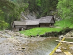 IMG_0410.jpg